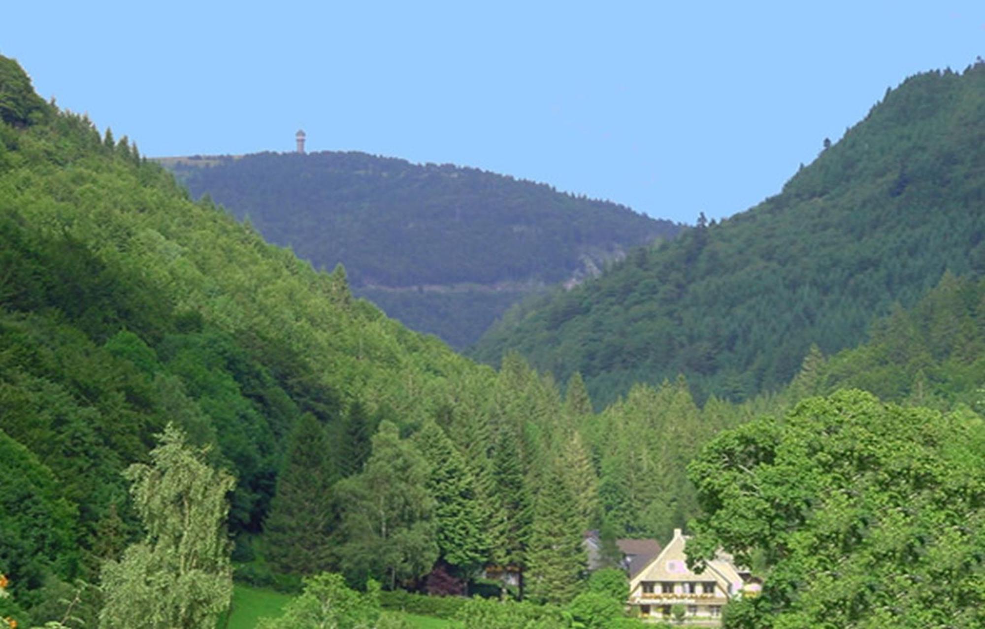 Haus Maria Apartment Тодтнау Екстериор снимка